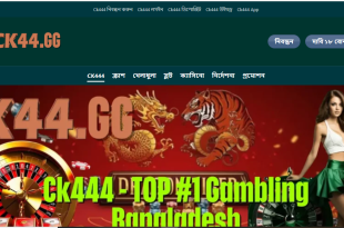 ck444 একাউন্ট খোলার নিয়ম ও ডাউনলোড